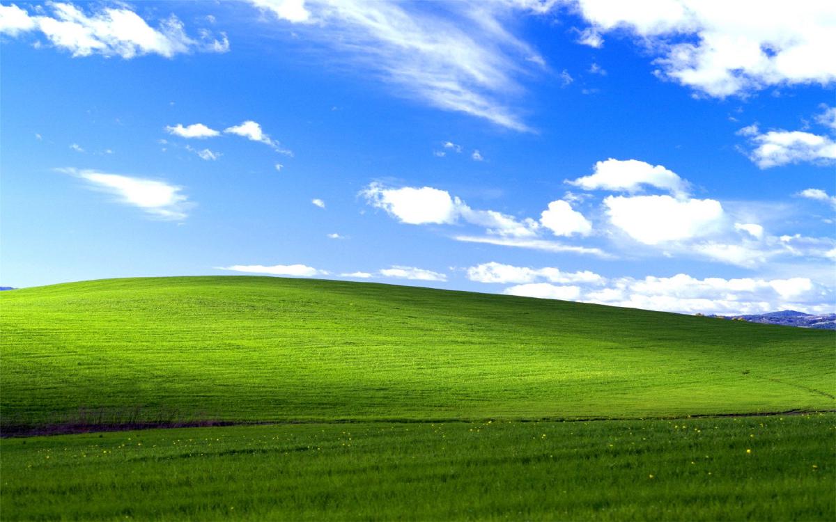 Windows 95 Default Wallpaper